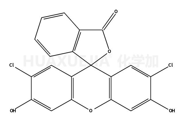 2′,7′-二氯荧光素