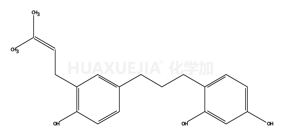 构树宁C