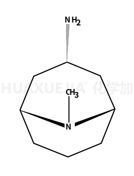 外向-3-氨基-9-甲基-9-氮杂双环[3,3,1]壬烷