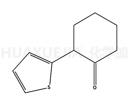 2-（噻吩-2-基）環(huán)己-1-酮