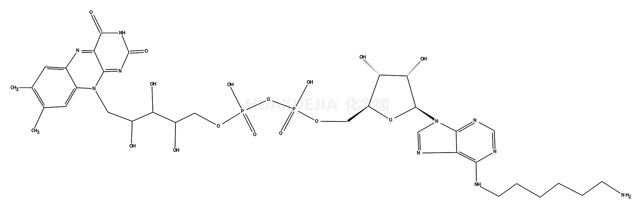 Disodium N-(6-aminohexyl)-5'-O-[({[4-(7,8-dimethyl-2,4-dioxo-3,4- dihydrobenzo[g]pteridin-10(2H)-yl)-1,2,3-trihydroxybutoxy]phosphi nato}oxy)phosphinato]adenosine