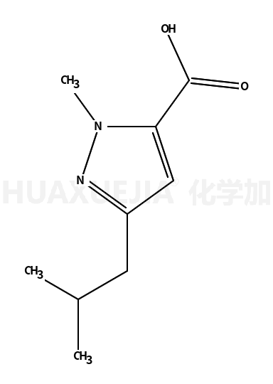 3-异丁基-1-甲基-1H-吡唑-5-羧酸