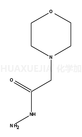 2-吗啉-4-乙酰肼