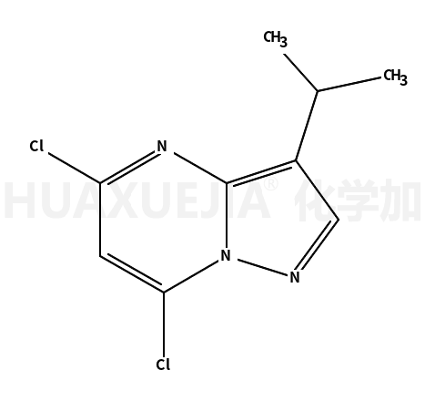 5,7-二氯-3-异丙基吡唑并[1,5-a]嘧啶