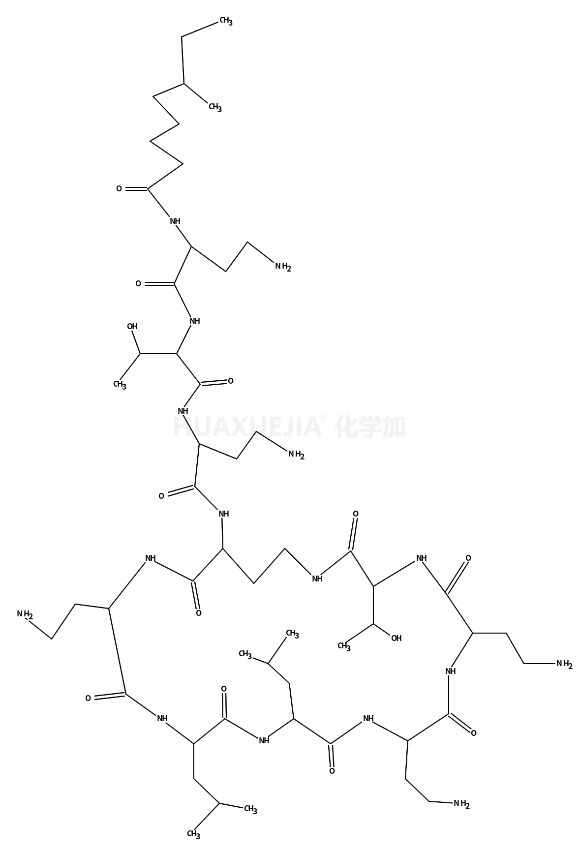 多粘菌素 E1