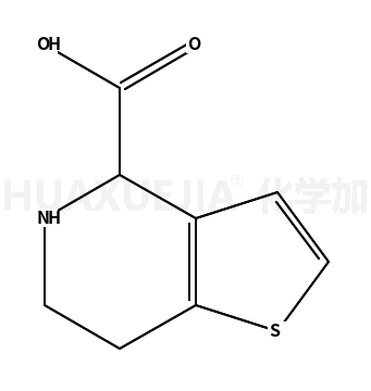 4,5,6,7-tetrahydrothieno[3,2-c]pyridine-4-carboxylic acid