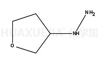 (tetrahydro-3-furanyl)Hydrazine