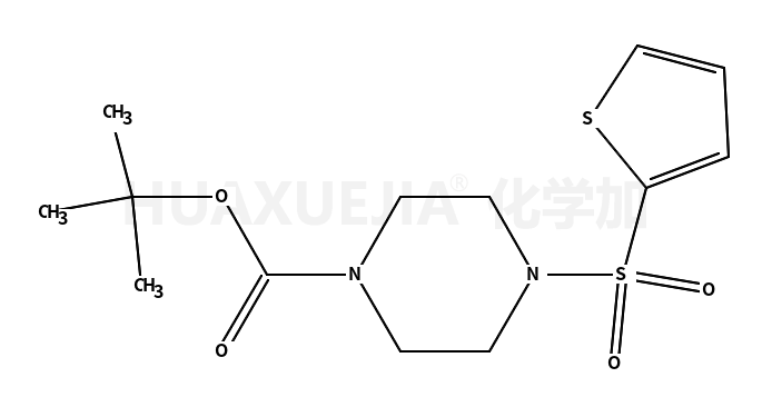 4-(2-噻吩磺酰基)-哌嗪-1-羧酸叔丁酯