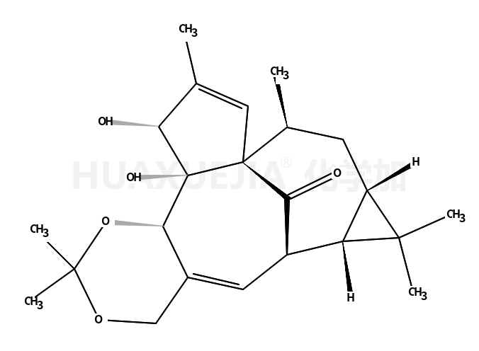 巨大戟醇-5,20-缩丙酮