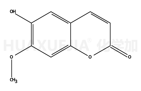 异东莨菪内酯