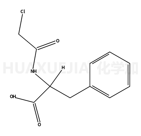 氯乙酰基-DL-苯丙氨酸