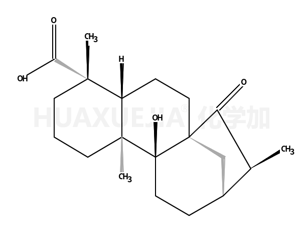 等效-9-羟基-15-氧代-19-异贝壳杉烷酸