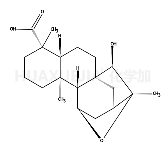 (4ALPHA,11BETA,15BETA,16ALPHA)-11,16-环氧-15-羟基贝壳杉-18-酸