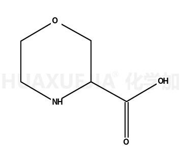 3-吗啉甲酸