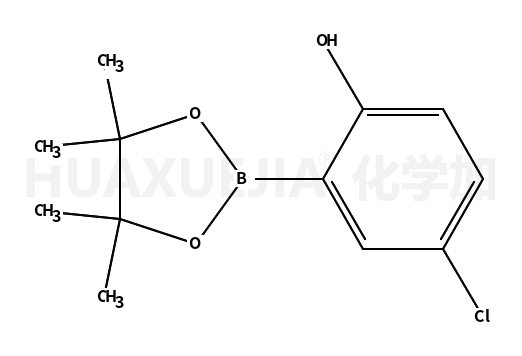 4-氯-2-(4,4,5,5-四甲基-1,3,2-二噁硼烷-2-基)苯酚