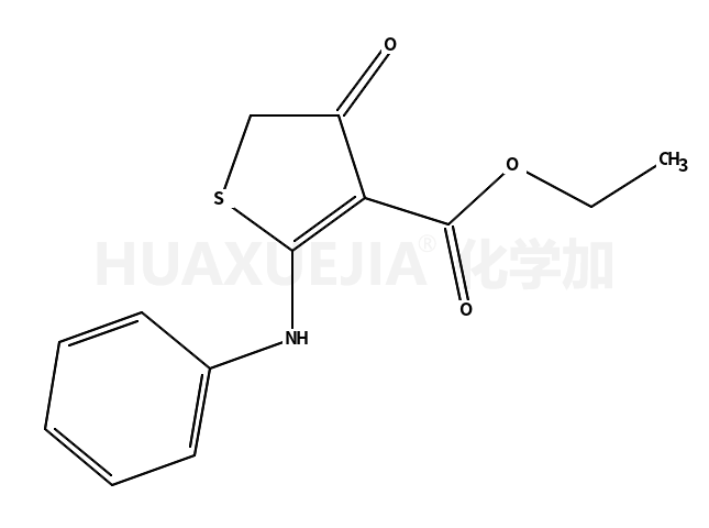 2-苯胺-4-氧代-4,5-二氢噻吩-3-羧酸乙酯