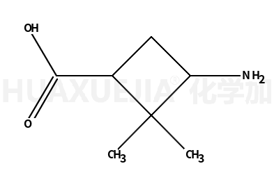3-氨基-2,2-二甲基环丁烷羧酸