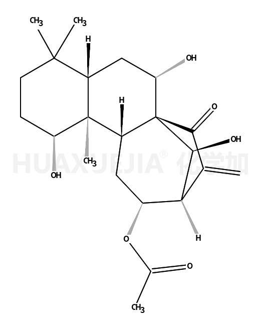 香茶菜乙素