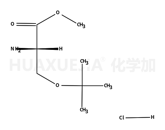 O-叔丁基-D-丝氨酸甲酯盐酸盐