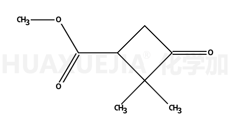 methyl 2,2-dimethyl-3-oxocyclobutanecarboxylate