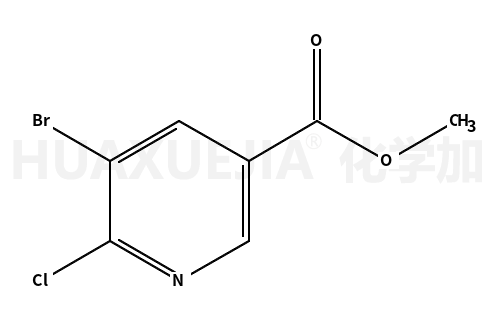 5-溴-6-氯烟酸甲酯