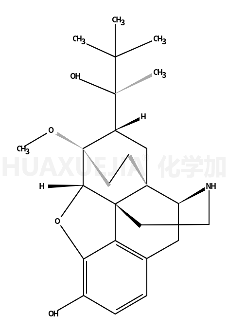 NORBUPRENORPHINE