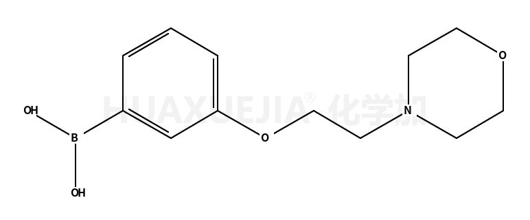 3-(2-MORPHOLINOETHOXY)PHENYLBORONIC ACID