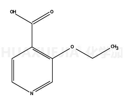3-乙氧基异烟酸