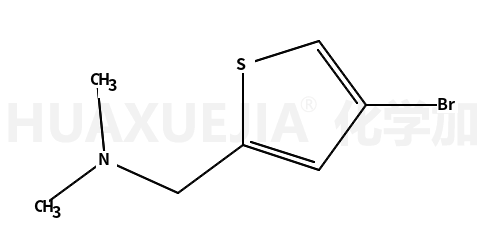 1-(4-溴噻吩-2-基)-N,N-二甲基甲胺