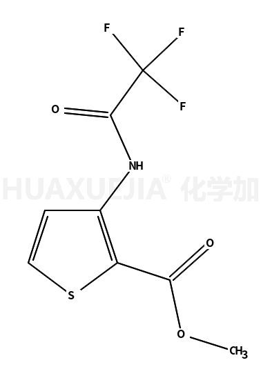 3-(N-三氟乙酰氨基)噻吩-2-羧酸甲酯