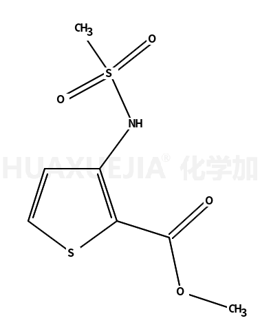 3-(甲磺酰氨基)噻吩-2-甲酸甲酯