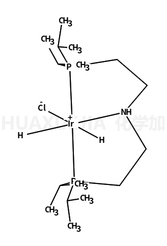 氯化二氢[双(2-di-i-丙基膦酰乙基)胺]铱(III)