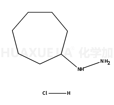 1-環庚基肼鹽酸鹽