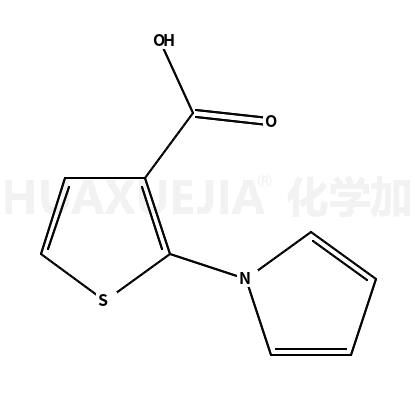 2-(1H-吡咯-1-基)噻吩-3-羧酸
