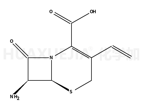 7-氨基-3-乙烯基-3-头孢环-4-羧酸