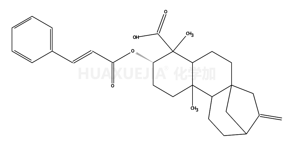 等效-3β-肉桂酰氧基贝壳杉-16-烯-19-酸