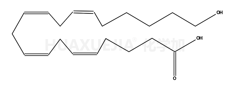 20-羟基二十碳-5Z,8Z,11Z,14Z-四烯酸