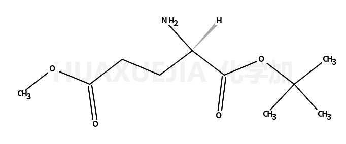 (S)-1-叔丁基-5-甲基-2-氨基戊二酸