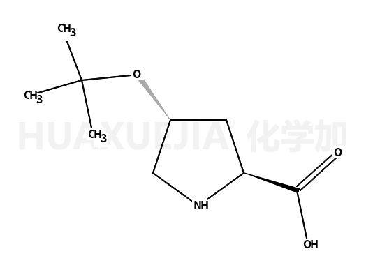 L-4-羟脯氨酸叔丁酯