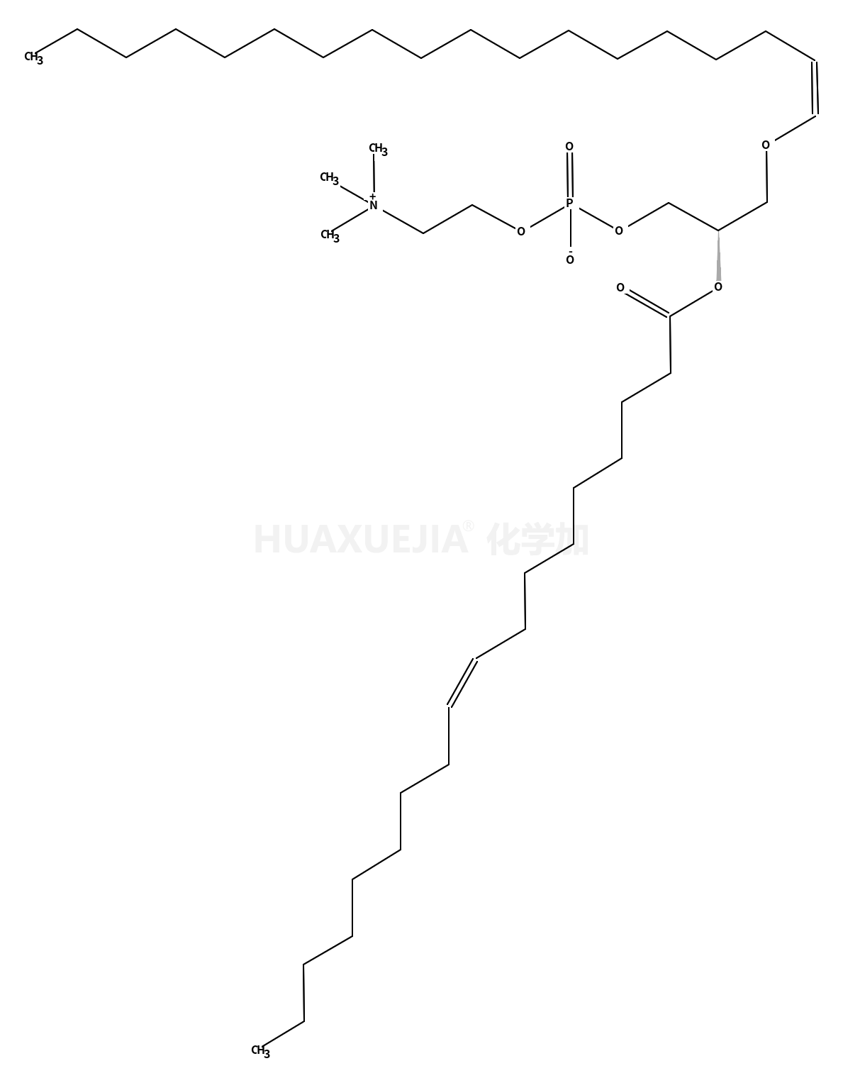 1-(1Z-octadecenyl)-2-oleoyl-sn-glycero-3-phosphocholine