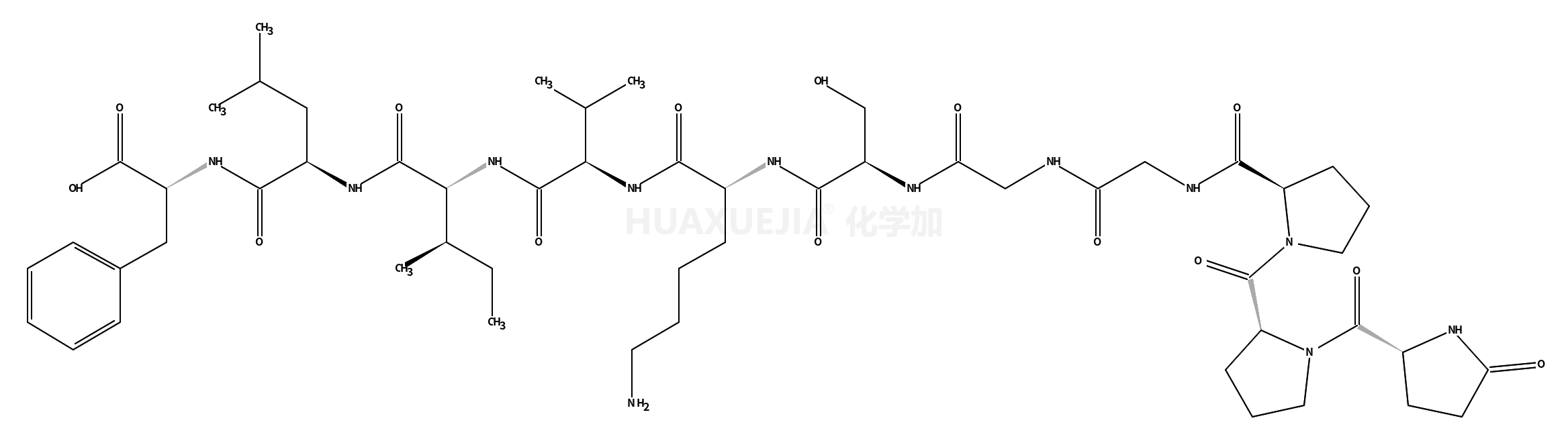 HEAD ACTIVATOR NEUROPEPTIDE