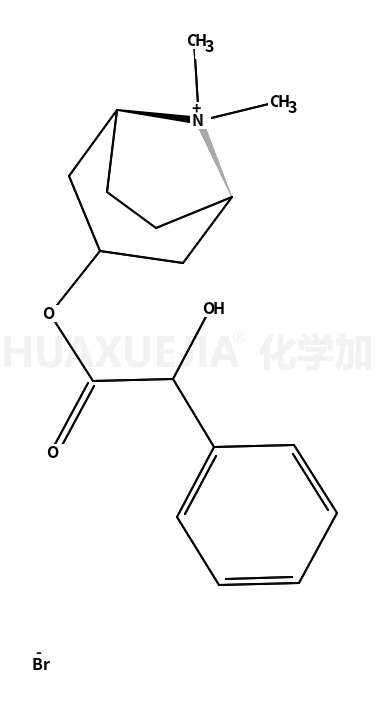 溴甲后马托品