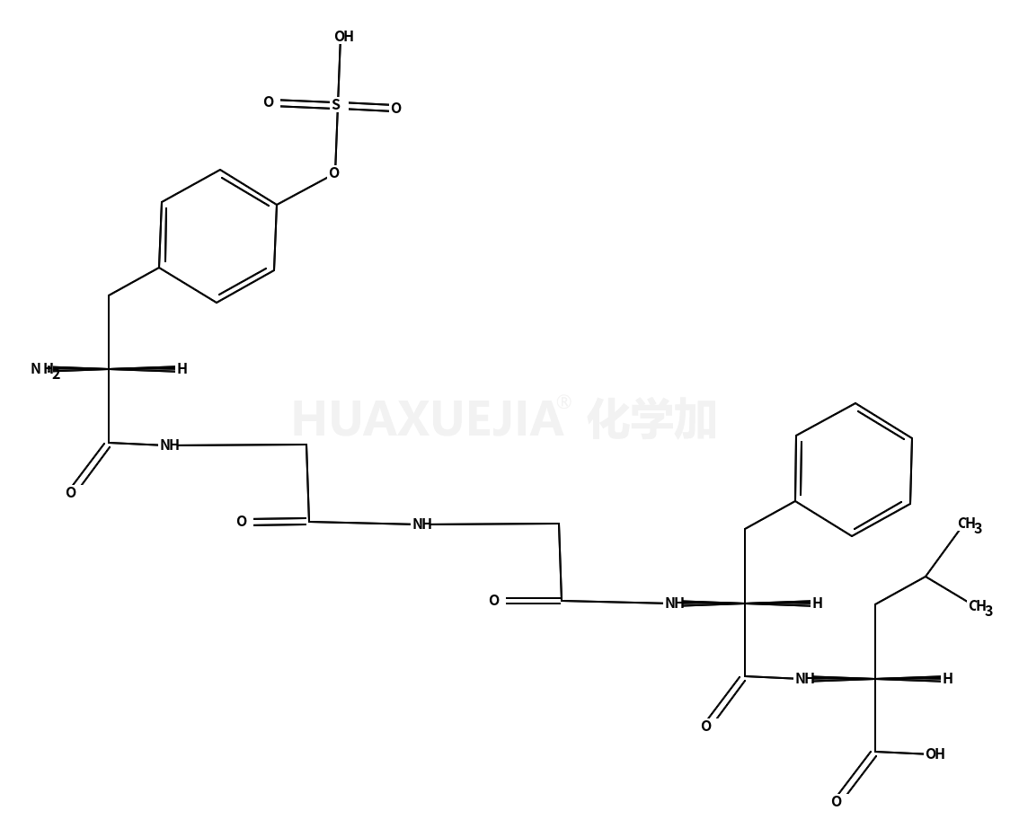 亮氨酰-脑啡肽硫酸酯