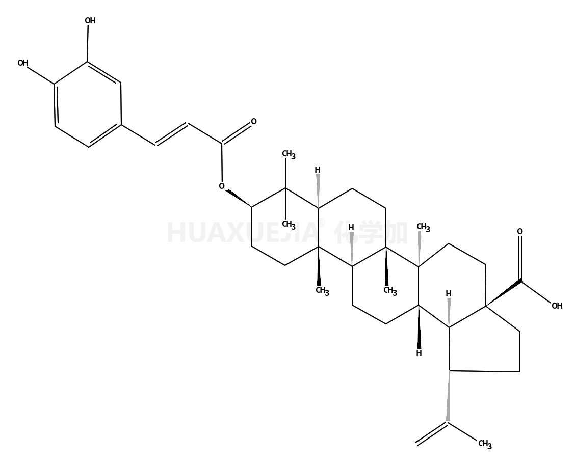 (3β)-3-{[(2E)-3-(3,4-二羟基苯基)丙-2-烯酰]氧代}羽扇-20(29)-烯-28-酸