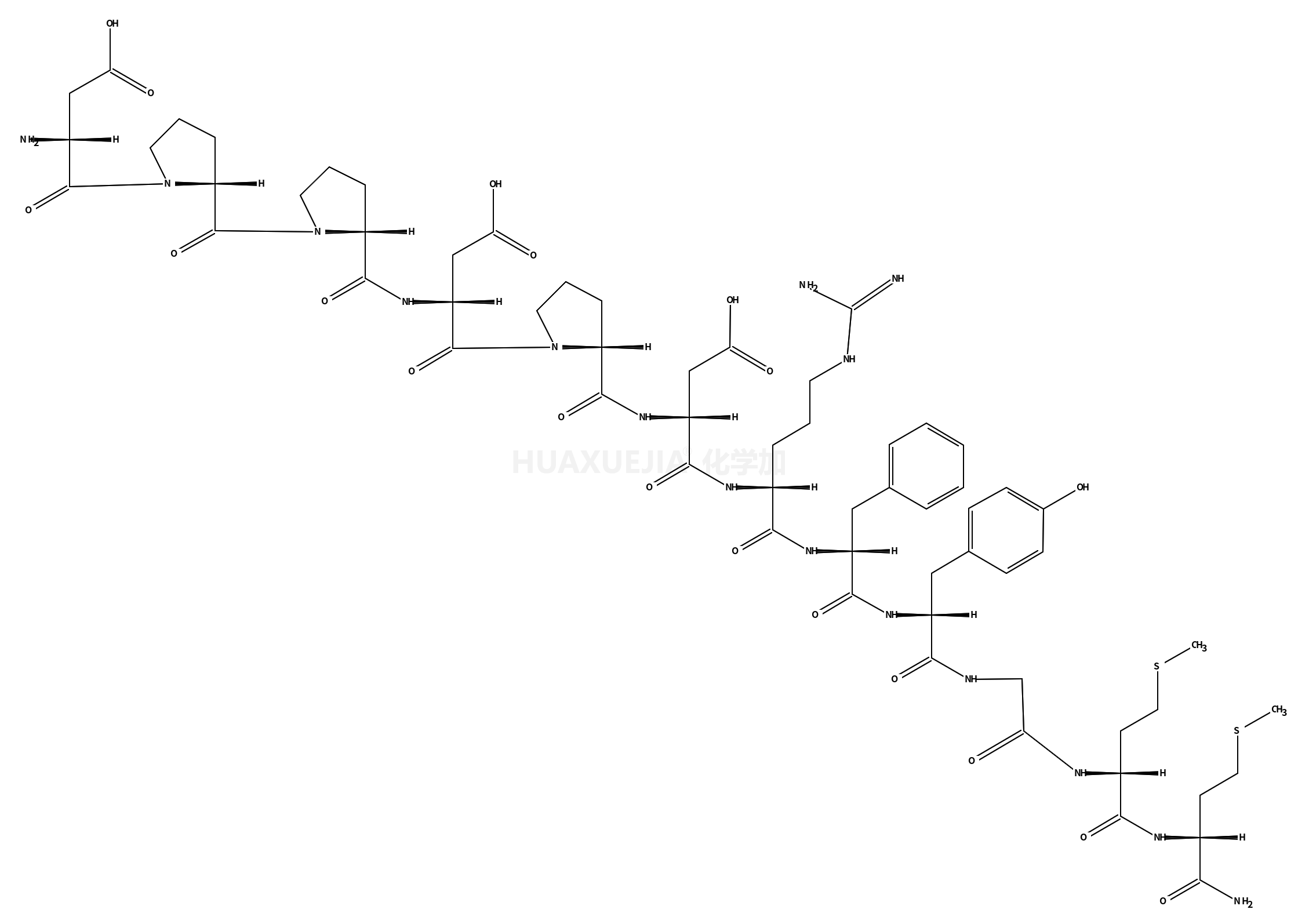 ASP-PRO-PRO-ASP-PRO-ASP-ARG-PHE-TYR-GLY-MET-MET-NH2