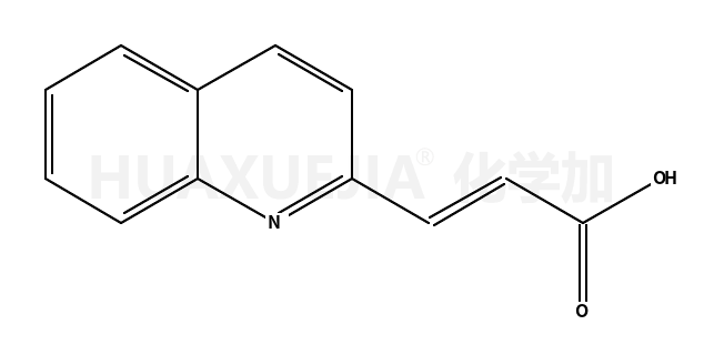 3-喹啉-2-丙烯酸