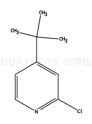 4-叔丁基-2-氯-吡啶