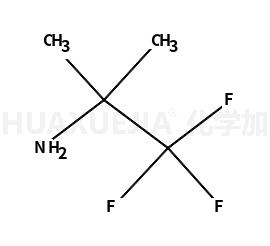 2,2,2-三氟-1,1-二甲基乙胺
