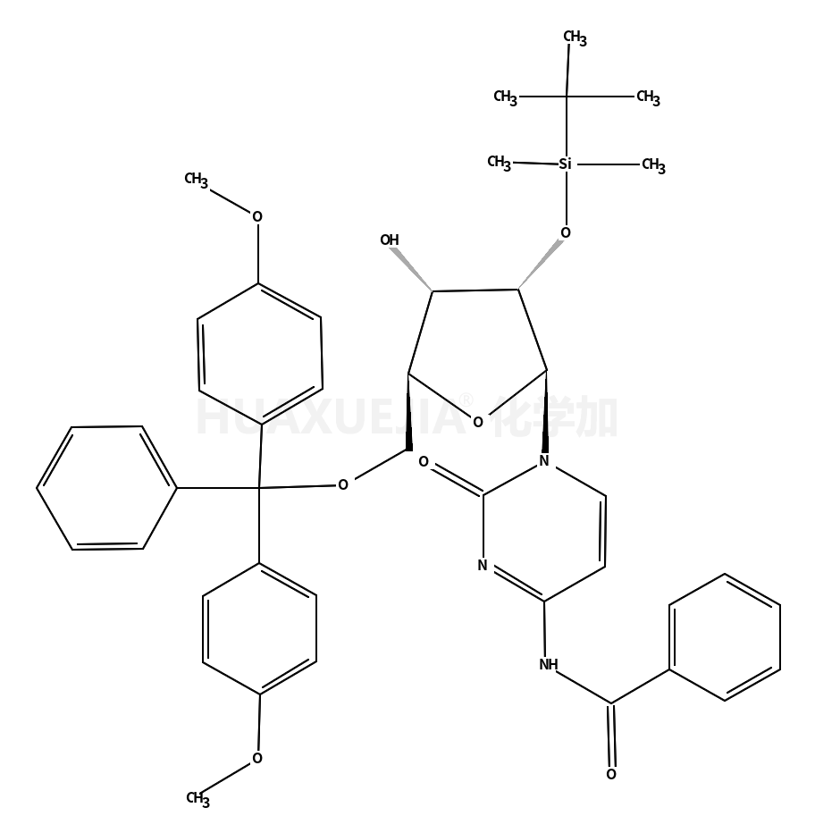 N-苯甲酰-5'-O-[二(4-甲氧基苯基)苯甲基]-2'-O-[(1,1-二甲基乙基)二甲基硅]-胞苷