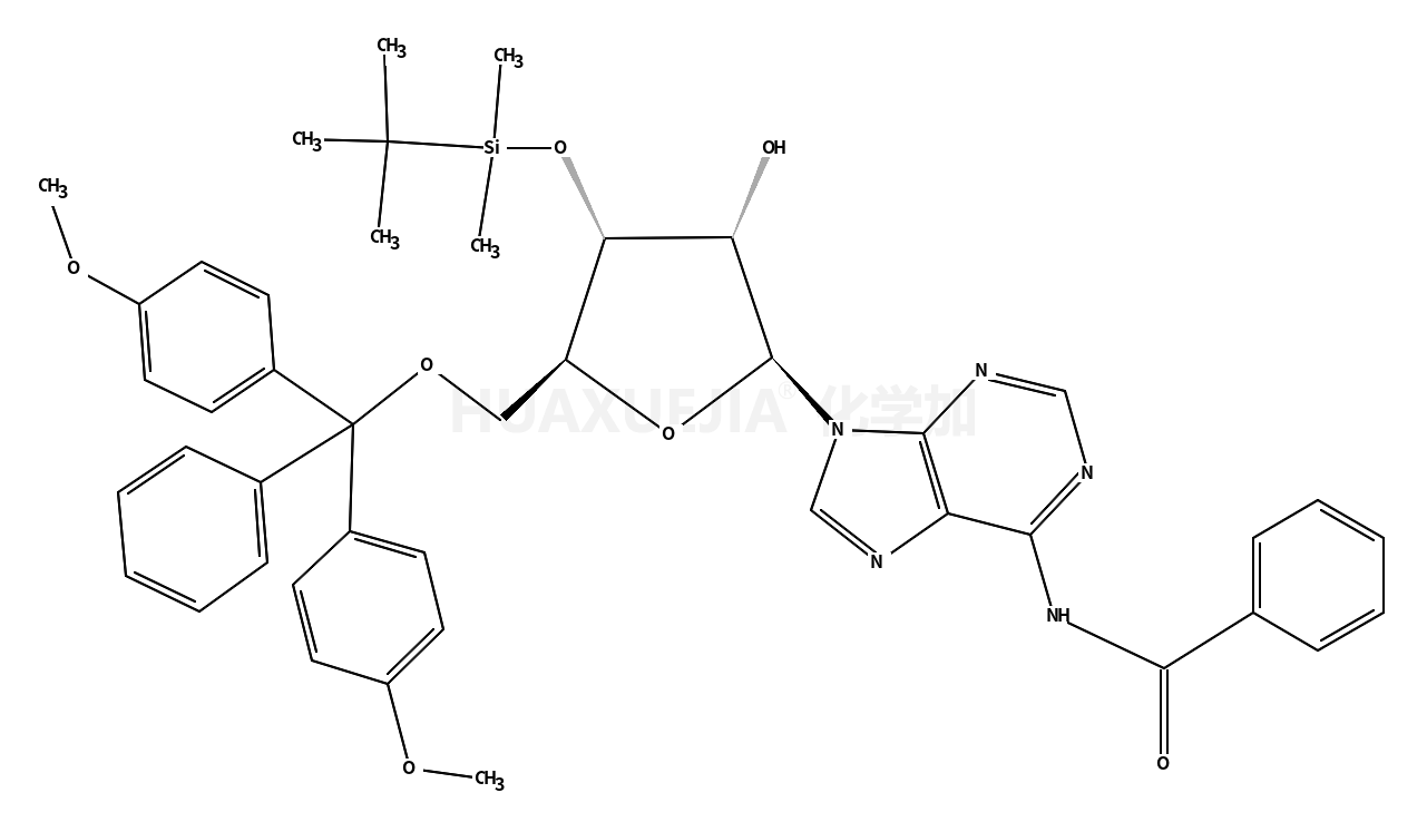 5'-DMT-3'-TBDMS-Bz-rA